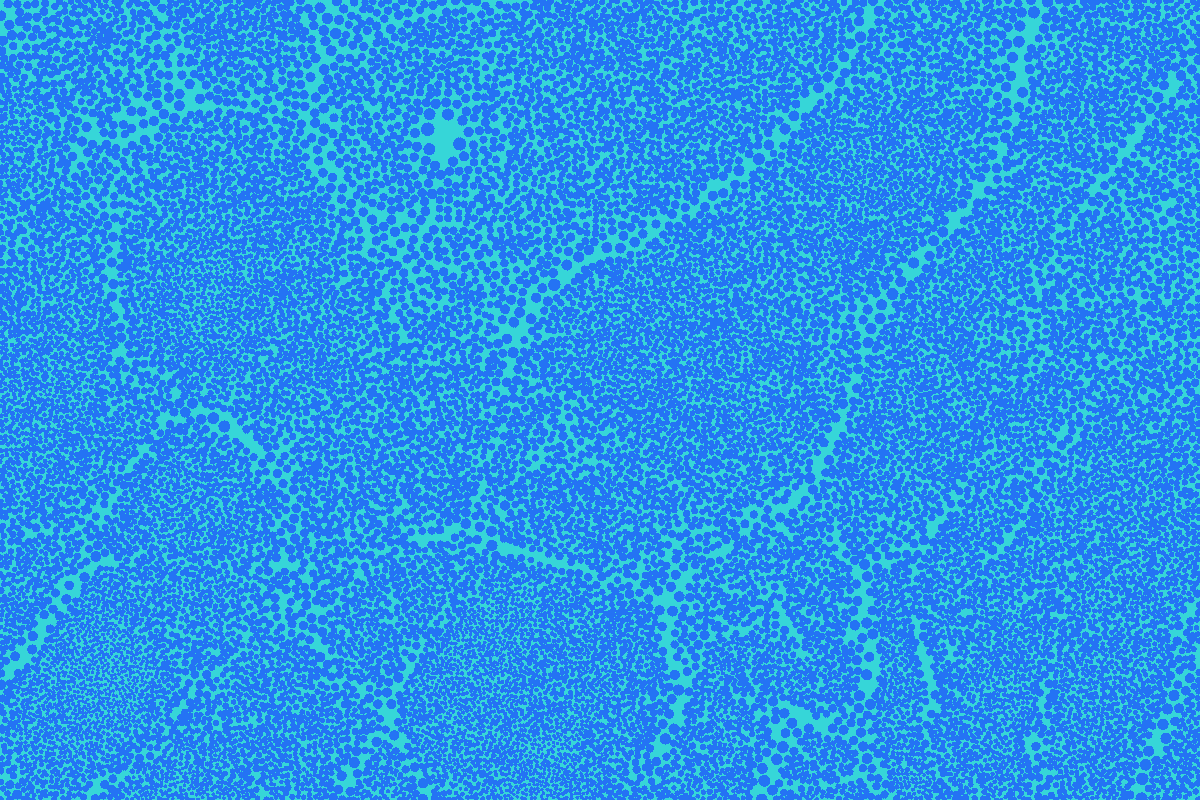 Layout1 gif