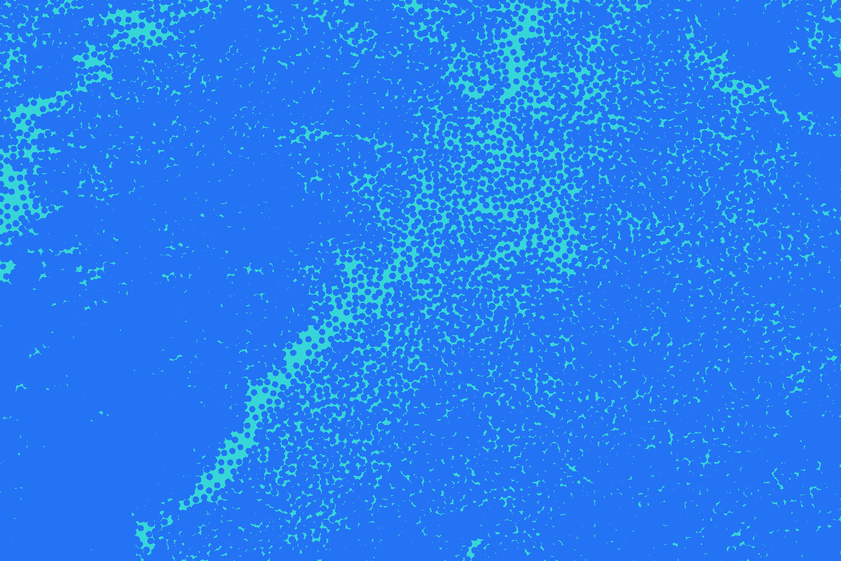 Layout4 gif