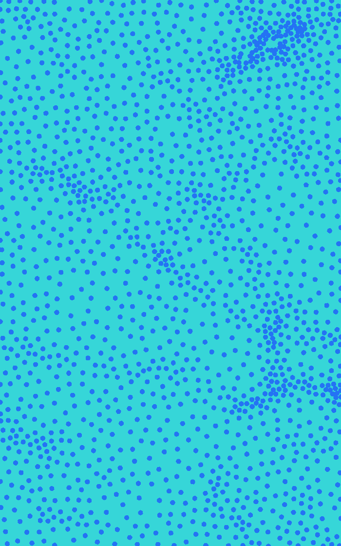 Layout5 gif